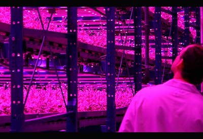 LED Agricultural Grow Lights: Market Shares, Strategy, and Forecasts, Worldwide, 2015 to 2021
