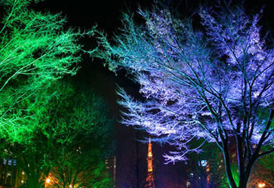 Coloured Lighting