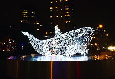 Lumiere Festival