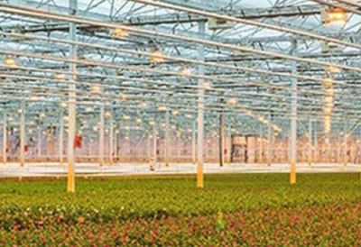 Intertek Launches Horticultural Lighting Certification Program