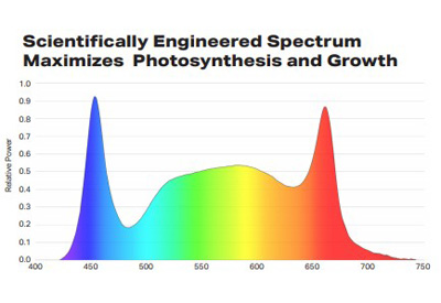 Bios Icarus Ti2 for Greenhouse Applications