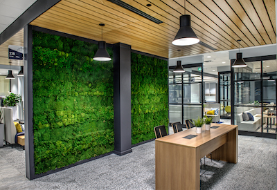Lighting Sets the Mood for Nature-Inspired Government Co-working Space