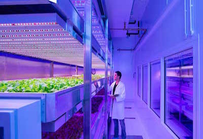 Horticulture