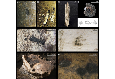 The Conquest of the Dark Spaces: An Experimental Approach to Lighting Systems in Paleolithic Caves
