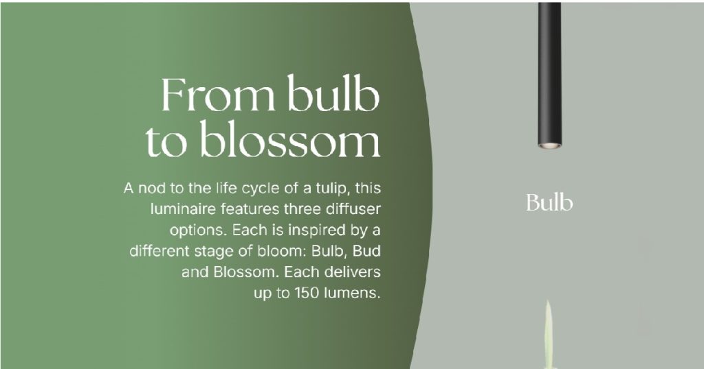 Aug 15, 2025 - Eureka Introduces New Tulip Luminaire 2