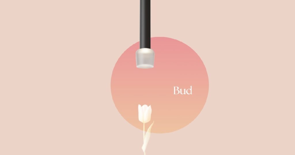 Aug 15, 2025 - Eureka Introduces New Tulip Luminaire 2