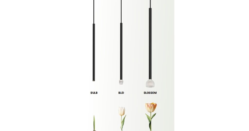 Aug 15, 2025 - Eureka Introduces New Tulip Luminaire 2