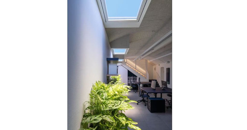 Sept 15, 2025 - LightForm - Lighting for Wellbeing How Light Affects the Body, Mood & Space 2