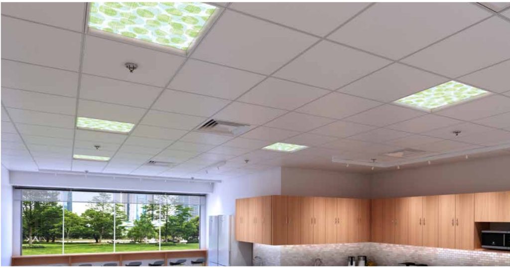 Oct 10, 2025 - Salex BalancedCare by Axis - MRI Tranquility Regressed 2x4 4