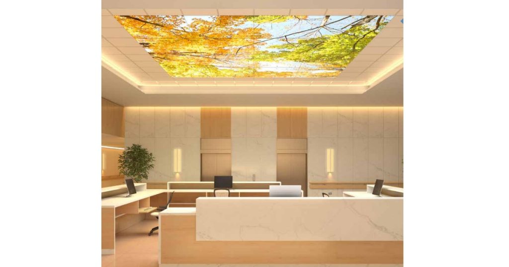 Oct 10, 2025 - Salex BalancedCare by Axis - MRI Tranquility Regressed 2x4 4