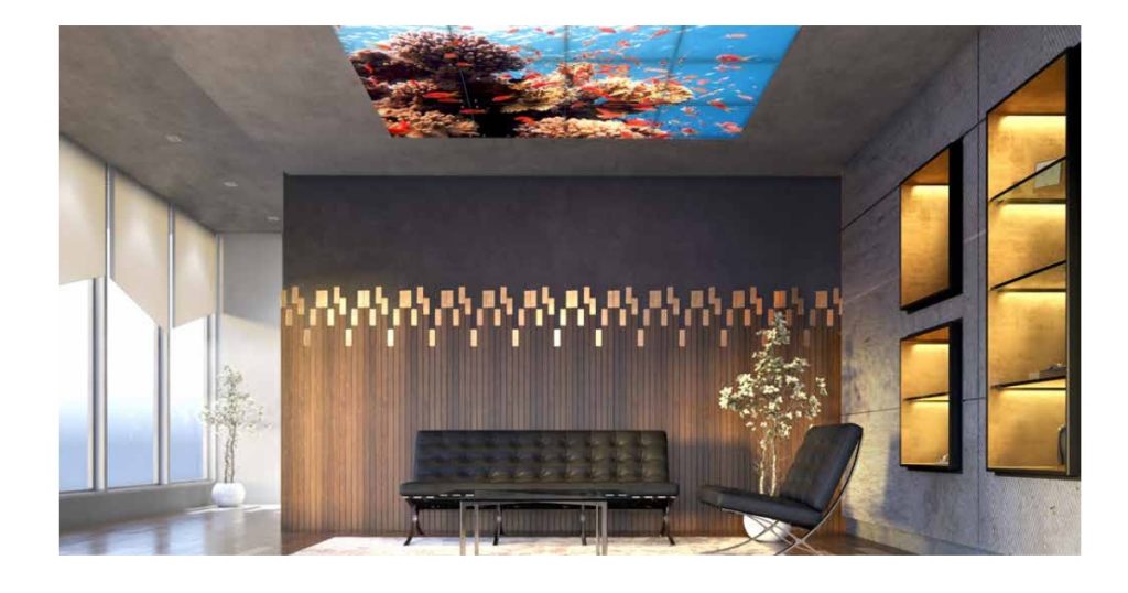 Oct 10, 2025 - Salex BalancedCare by Axis - MRI Tranquility Regressed 2x4 4