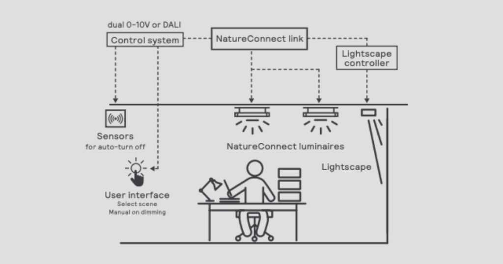 Oct 21, 2025 - EB Horsman Lighting That Works with You Circadian Rhythm & Ledalite NatureConnect 3
