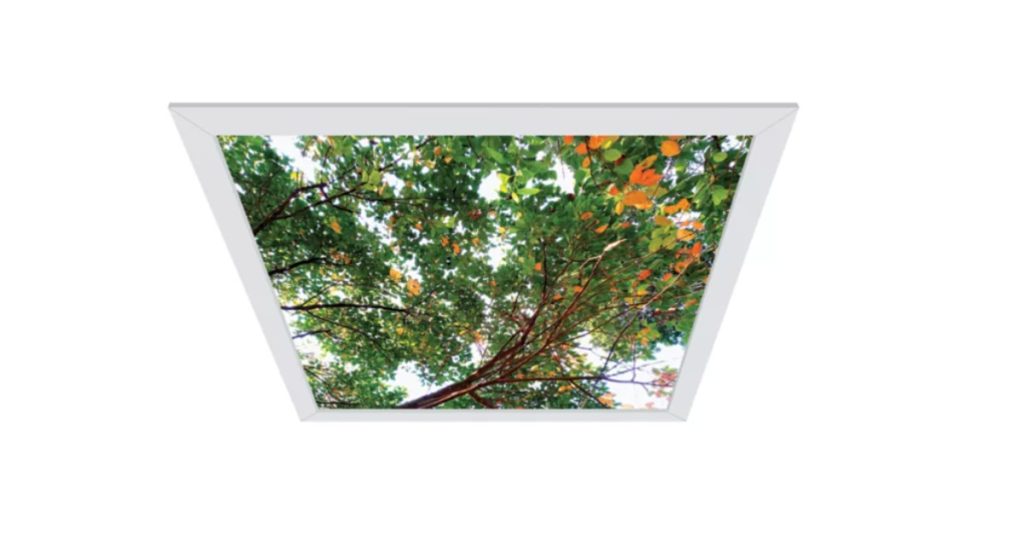 Jan 28, 2026 - Cooper Lighting Fail-Safe CVEN2 ArcMed Comforting Views, Recessed