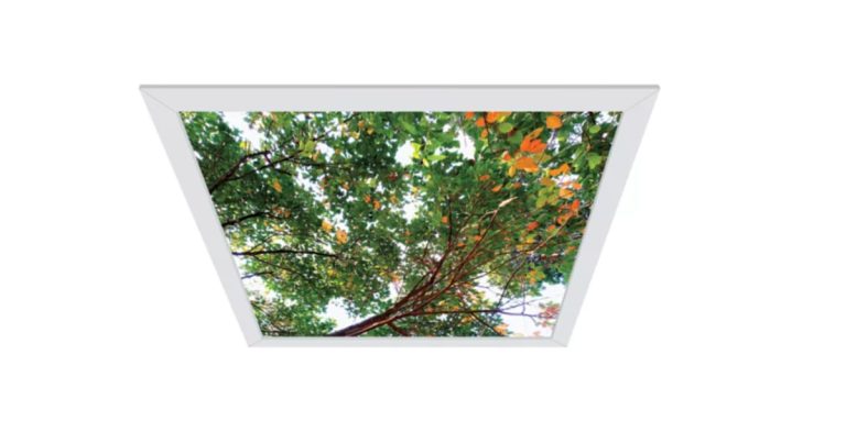 Jan 28, 2026 - Cooper Lighting Fail-Safe CVEN2 ArcMed Comforting Views, Recessed