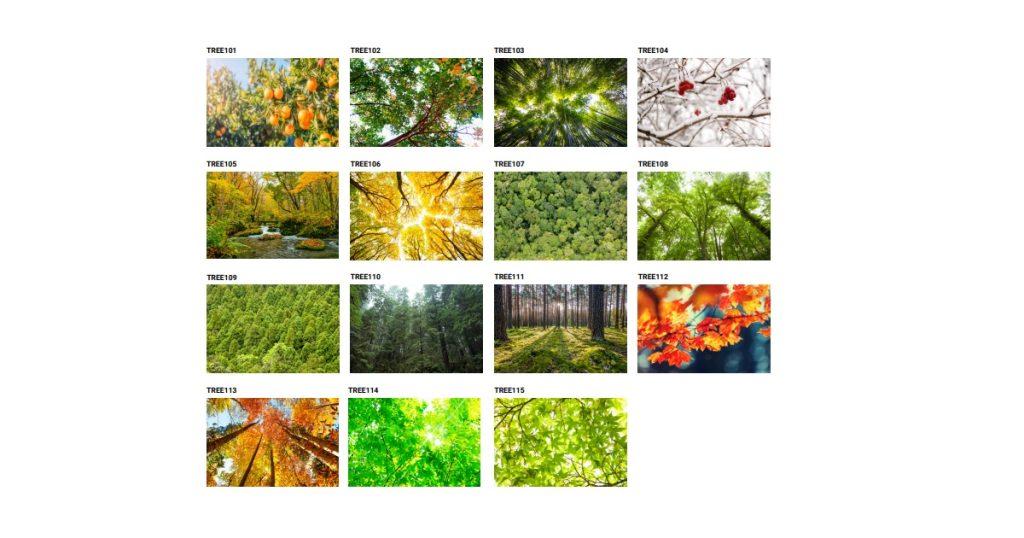 Jan 28, 2026 - Cooper Lighting Fail-Safe CVEN2 ArcMed Comforting Views, Recessed