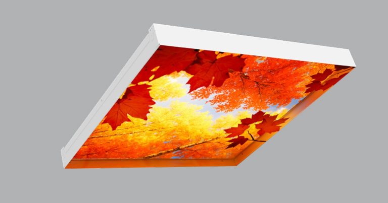 April 7, 2026 - Leviton Unveils New North & North 3D Backlit Graphic Luminaires to Transform Ceilings for Enhanced Well-Being, Design 1