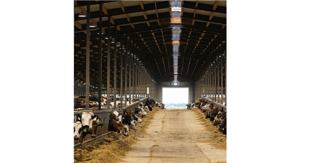June 1, 2026 - CSC LED Tougher Than the Job Site - Choosing Lighting Built for Demanding Environments - Hazardous Conditions