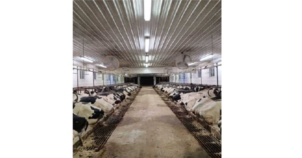 June 1, 2026 - CSC LED Tougher Than the Job Site - Choosing Lighting Built for Demanding Environments - Hazardous Conditions