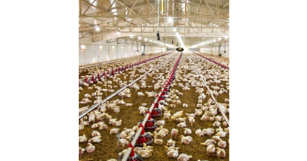 June 1, 2026 - CSC LED Tougher Than the Job Site - Choosing Lighting Built for Demanding Environments - Hazardous Conditions