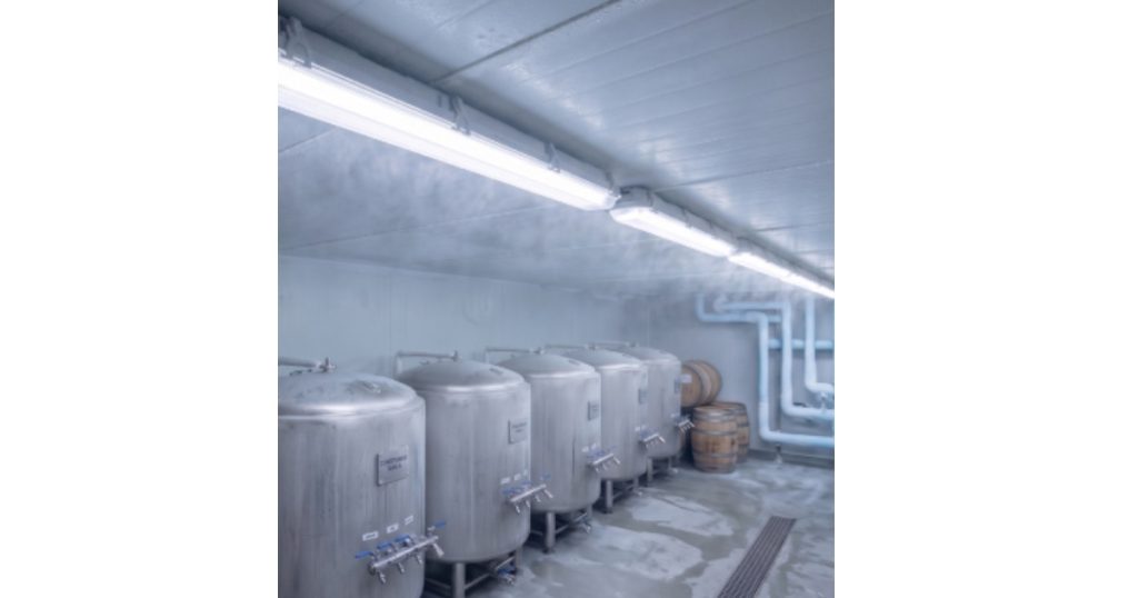 July 28, 2026 - CSC LED What Is an NSF Rating in LED Lighting & Why Does It Matter 4